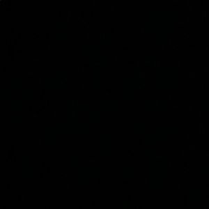 Meet your Posher, Cody